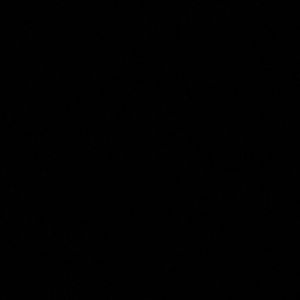 Meet your Posher, Jeraldin